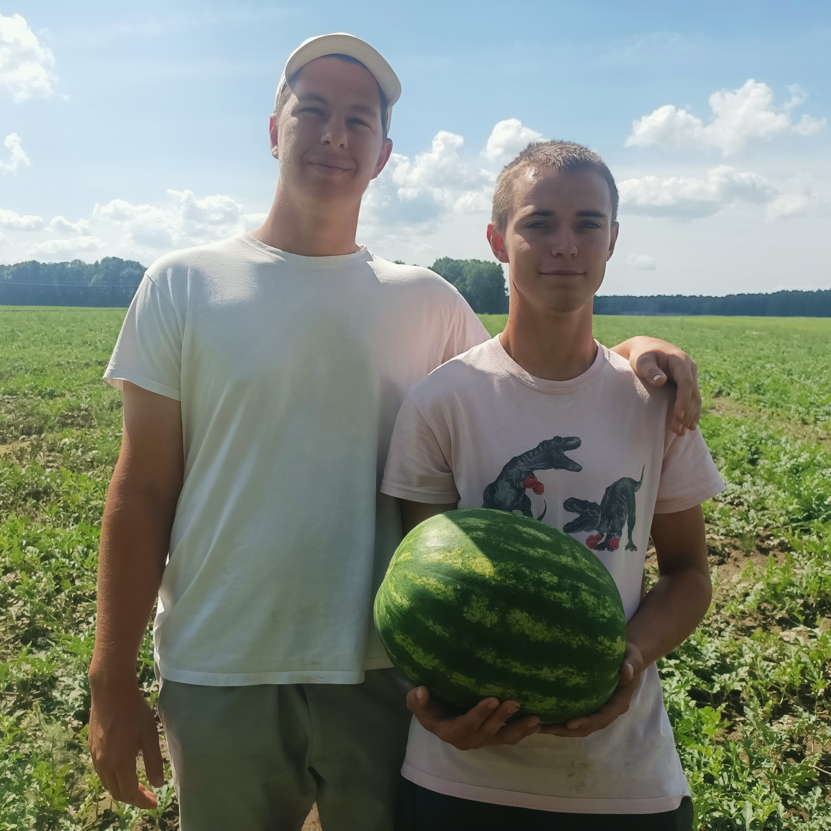 Овочі з «Ганниної Пустині»: як фермери з Півдня розвивають овочівництво на Чернігівщині